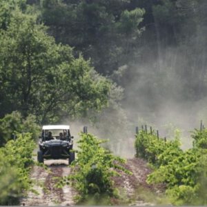 Visita en buggy por la finca + cata de vinos