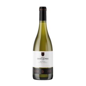 Bernat Blanco de Picapolls