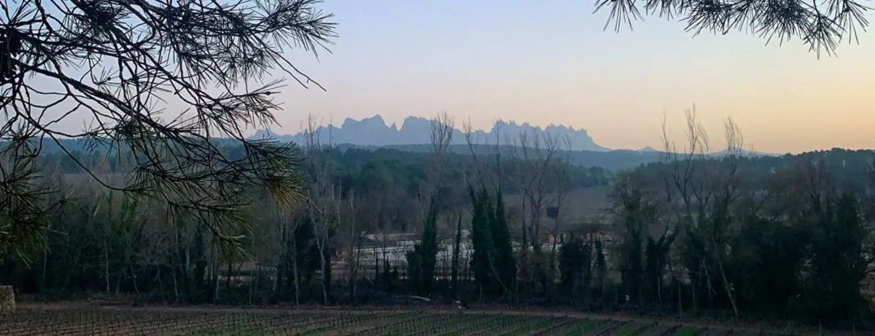 carousel-acampada-01