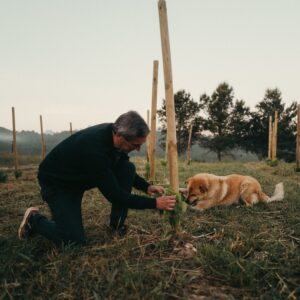 the visualvein oller del mas picture 37