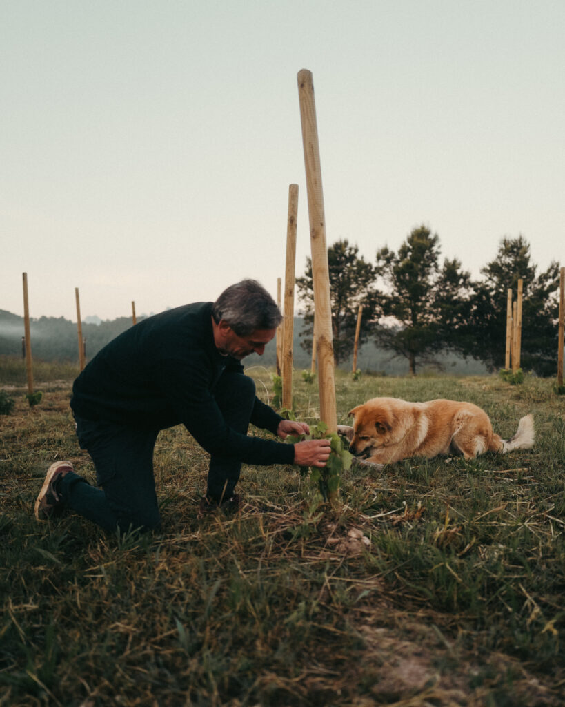 the visualvein oller del mas picture 37