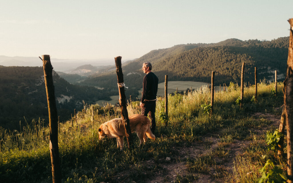 the visualvein oller del mas picture 61